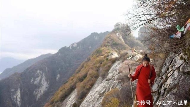 终南山当真是避世圣地？如今已变成网红打卡地，一方净土难坚守