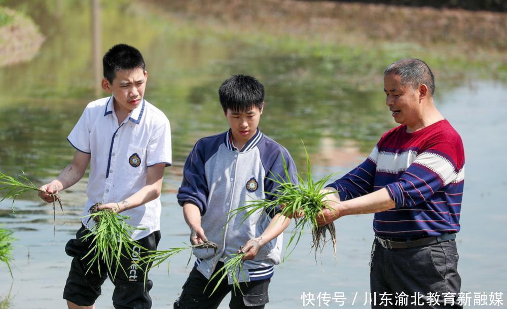 高考|教育新融媒：追赶六月骄阳，奋斗青春理想，送给高三学子