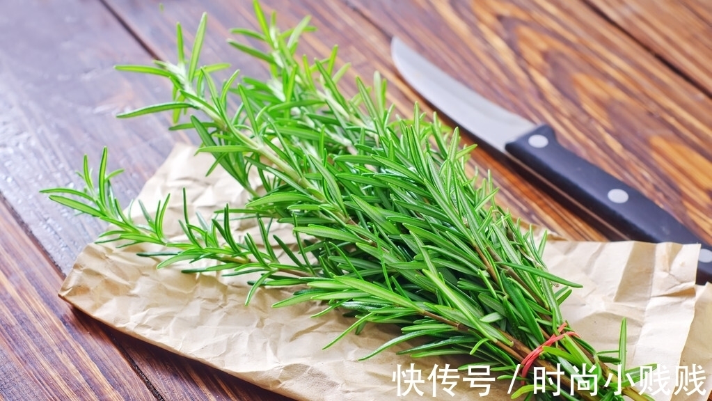 六种花是有名的“生活小帮手”,建议养一盆,以备不时之需