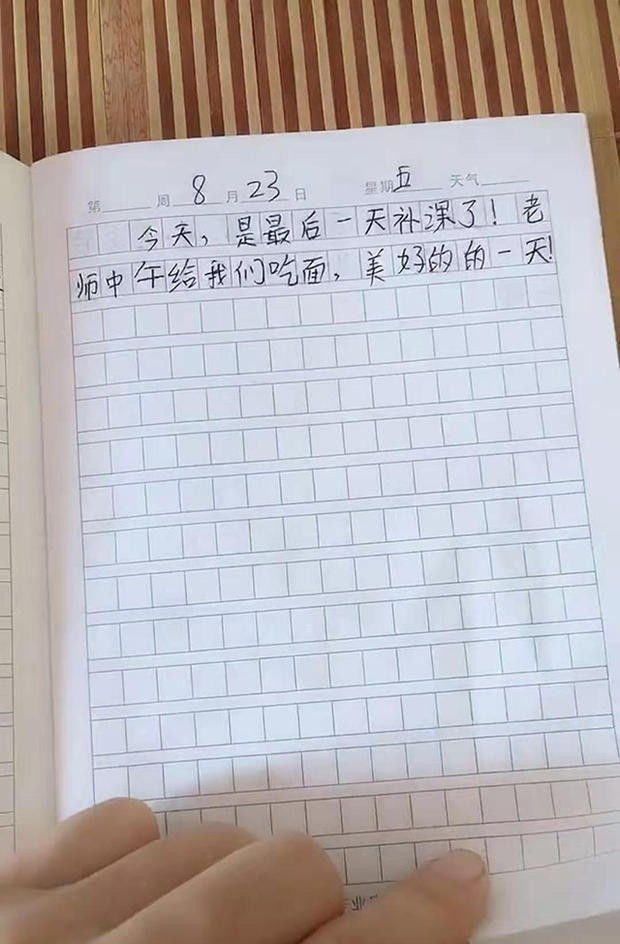 孩子|儿子“赶工期”写出来的日记，让妈妈无语，网友：有我当年的风范
