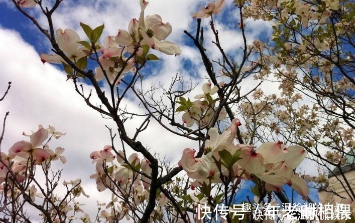 老板娘|长得好不如生肖好，看这三大生肖女，不是少奶奶就是老板娘！