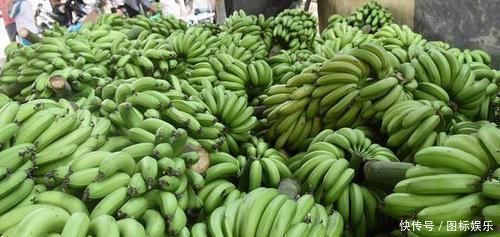 肠道|肠道“推粪机”公布了,并不是香蕉,便秘时吃点,排出宿便更健康