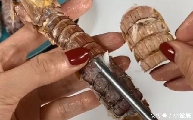 吃了二十年皮皮虾,才知道皮皮虾还自带“拉链”,轻轻一拉就剥开