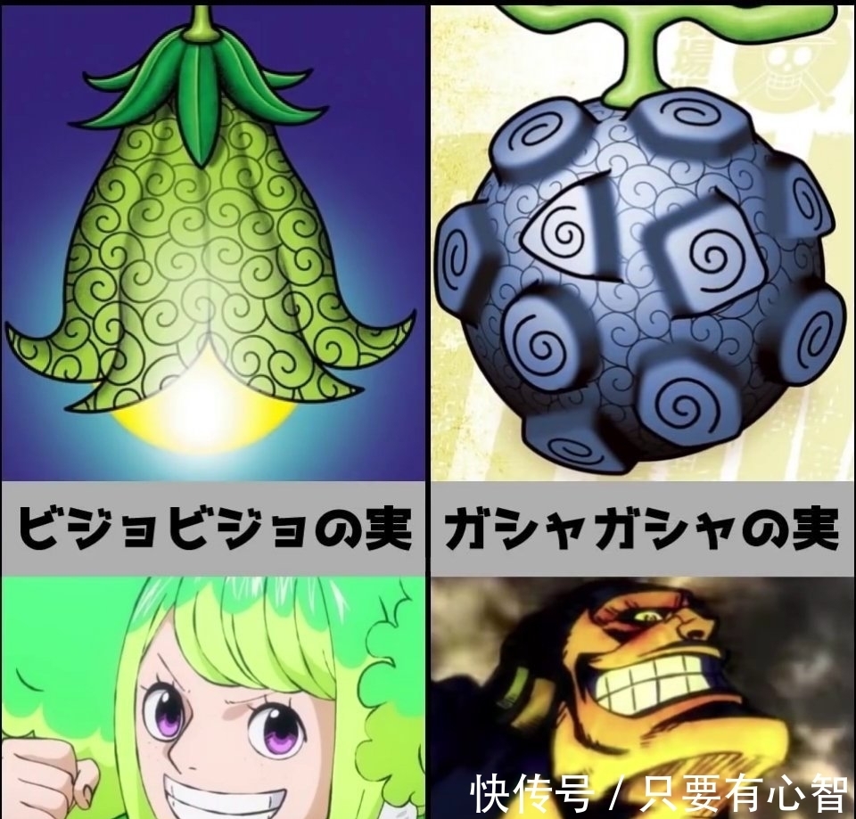 海贼王|《海贼王》恶魔果实，你最想拥有哪种？花花果实最漂亮
