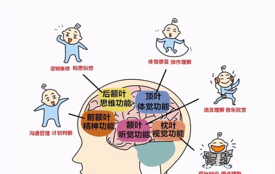 哈佛大学新研究:宝宝出生时几斤几两,