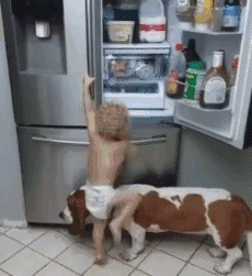 |搞笑GIF趣图：媳妇这是揭你的老底呀，一点都不给你面子