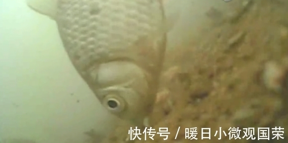 新手|新手真的不用学调漂吗?给你几个实用的建议,看完后不再迷茫