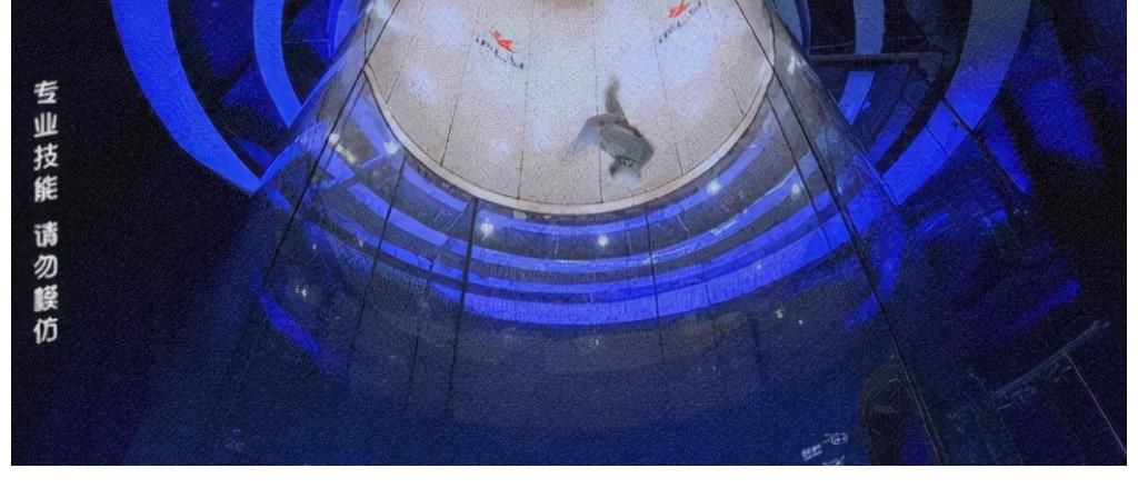 收視率第一！力壓《向往的生活》，這檔綜藝憑什么一炮而紅？