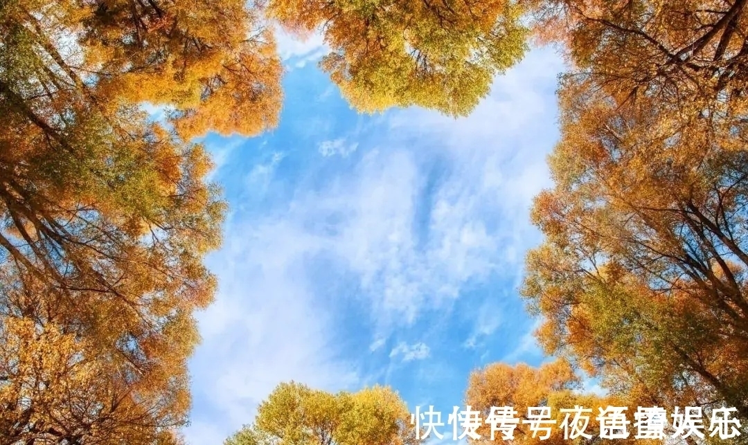 李白@一岁年龄一岁心。三首关于光阴古诗中,遇见最有诗意的秋天