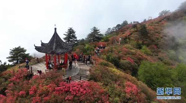 湖北麻城龟峰山：半山云雾半山红