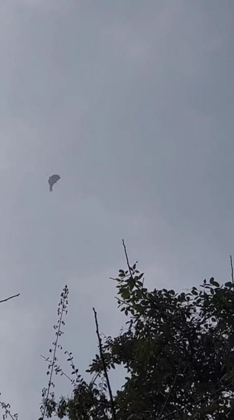 四川乐山一景区载人气球坠落，专业人士