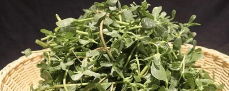 红烧茄子|孕期要控制自己, 少吃这3种食物, 然而第一种很多人都忍不住!