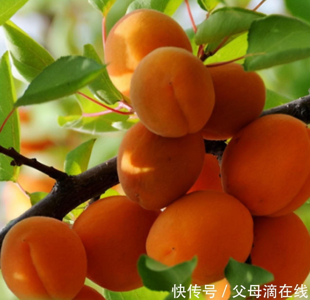 补血|女性不想老太快,坚持吃3种食物,排毒养颜,补血益气,有益健康