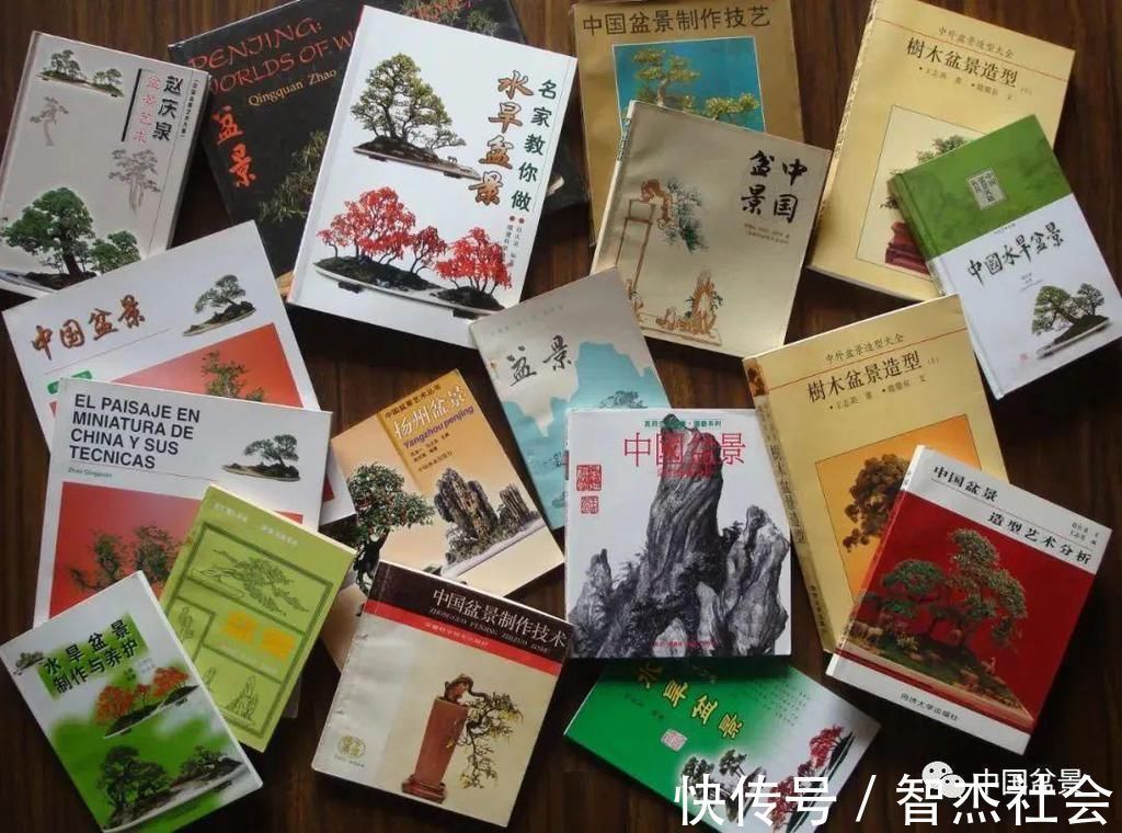 盆景@赵庆泉:请别叫我“大师”,我就是个“做盆景的”