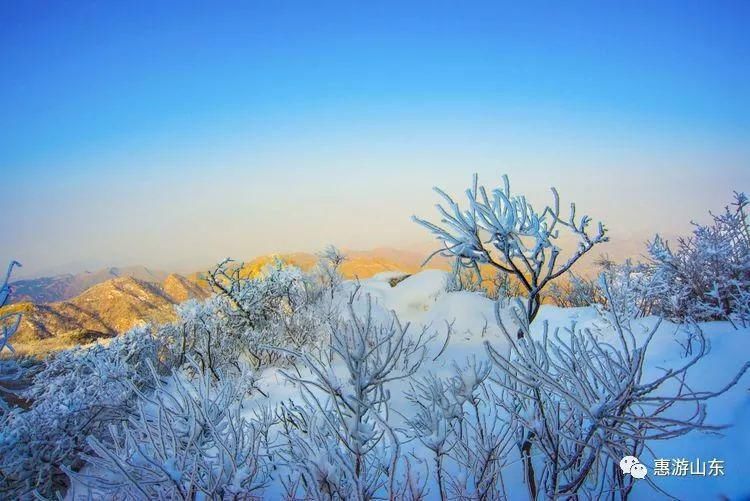 泰山银装素裹后石坞，雪松玉树赛仙境！