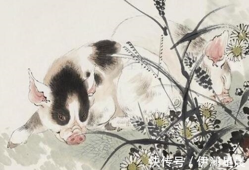 事业|6月底猪猪猪，喜从天降，重返巅峰，势如破竹，事业财运皆兴旺