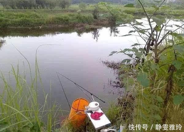 钓鱼|窝料打下去后,怎么都不发窝,到底是没有鱼,还是死窝了