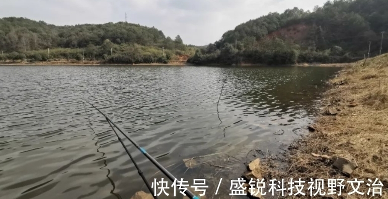 阴漂|为什么你钓的鱼比别人少?就是调漂不对,稍加改变效果就不同