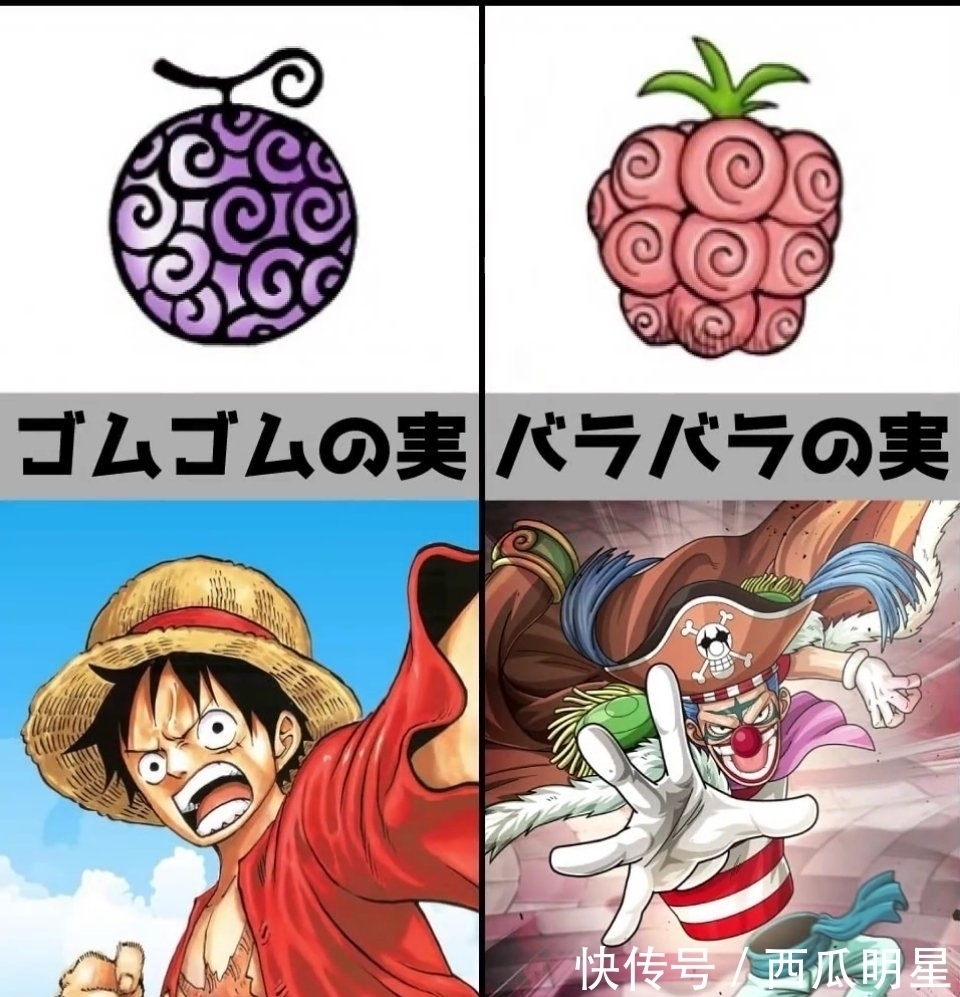 果实|《海贼王》恶魔果实,你最想拥有哪种?花花果实最漂亮