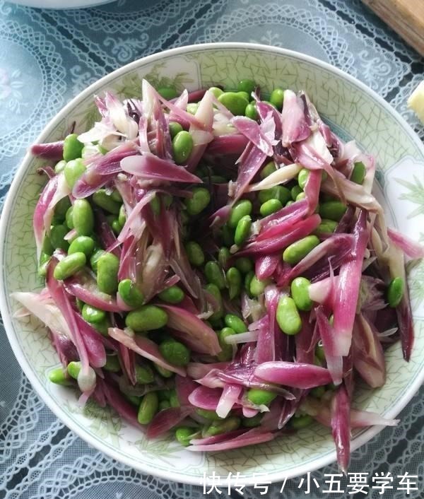 莪术|生姜开花,原来这么美,第一次见到!生姜开花,原来这么美,第一次见到!