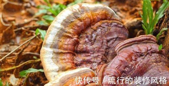 全脂奶|生活中，想要远离癌症，这10种食物要多吃，防癌又养生