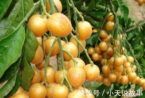 燃脂|女人爱美,常吃四种食物,排毒燃脂,润肤养颜,呵护子宫