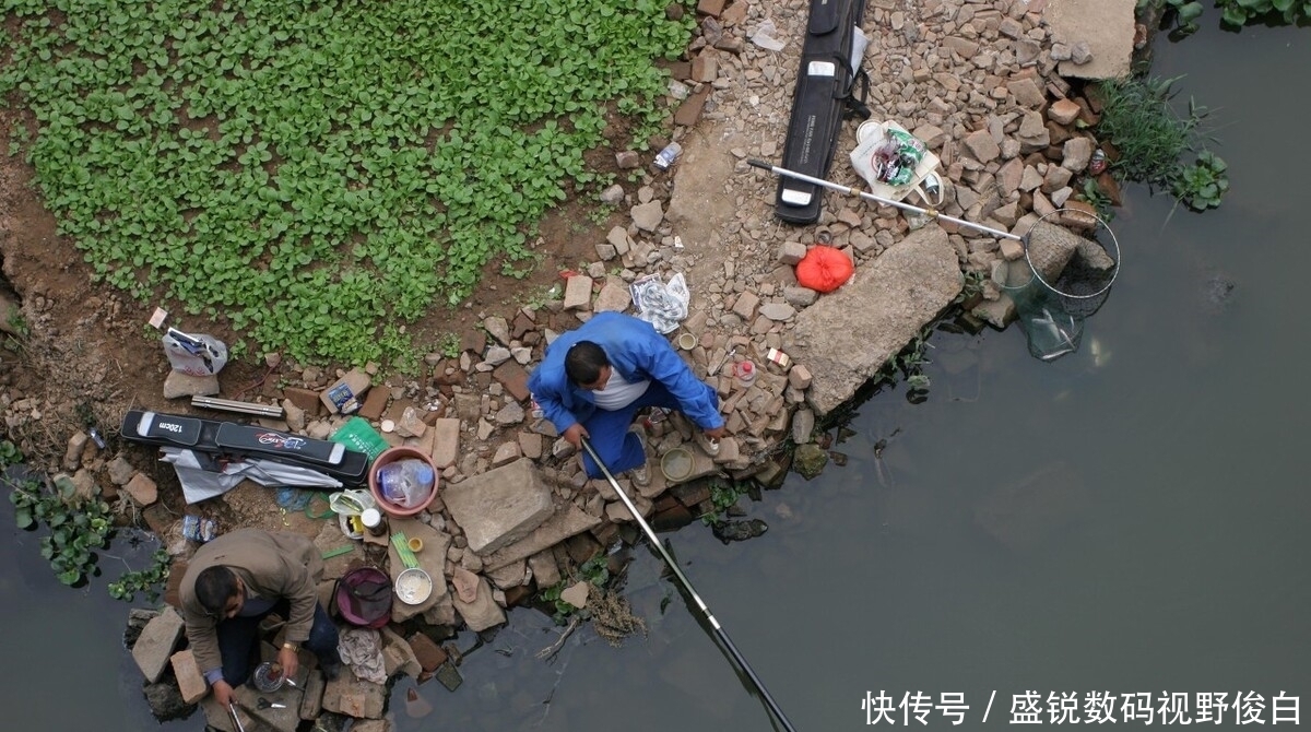 高手们|如何在调钓中搭配浮漂、铅坠和钩饵?这个小技巧高手们都在用