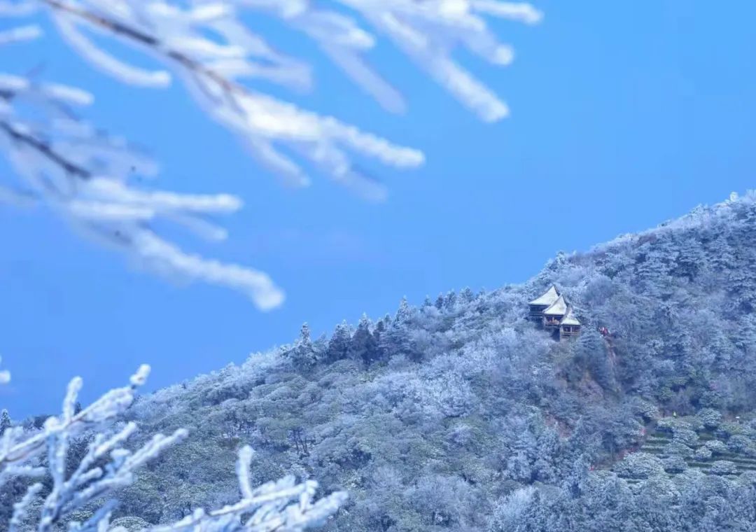 天台|天台绝美雾凇打卡地！这里有着南方人对冰雪的天然向往……