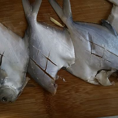 鲳鱼|香煎小银鲳
