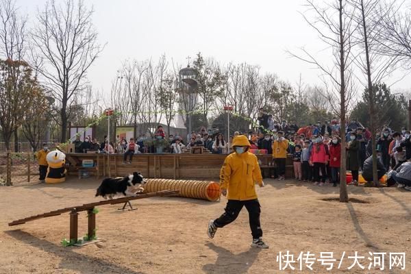 大河网讯|新春走基层｜郑州园博园带你感受浓浓年味儿