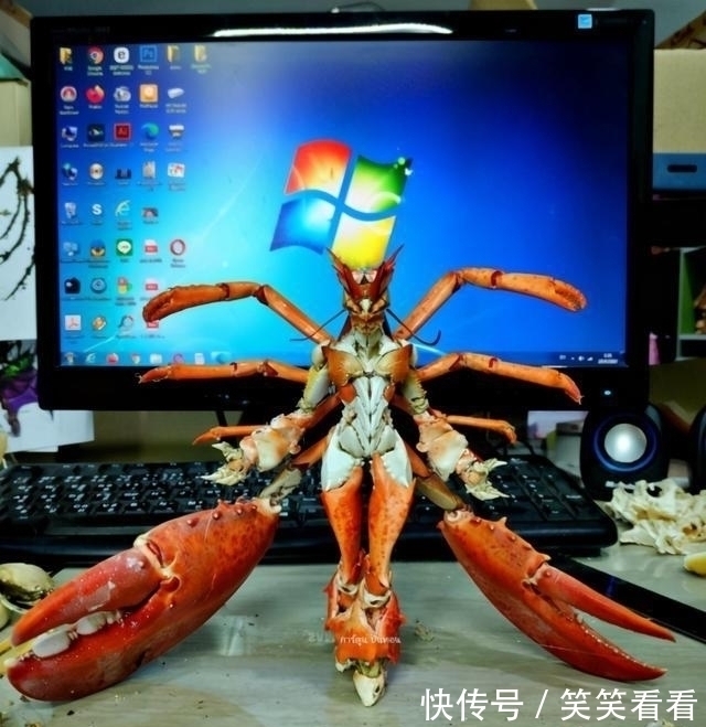 龙虾壳|吃剩的龙虾壳拼成手办,感觉有点不可思议!真是没谁了