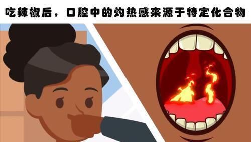 自动扶梯|你不大可能在教科书里见到的10个有趣的冷知识