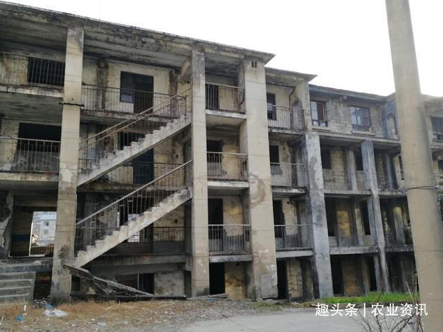 房产巨头|房产巨头负债700多亿,董事长下落不明,期房业主该怎么办