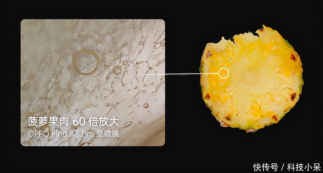 黑洞新照曝光！比兩年前細節更高清，人類探索宇宙又近一步