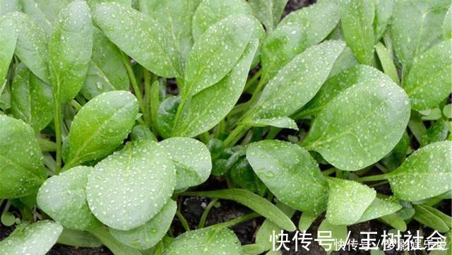 深海鱼|藏在身边的“补钙高手”,并非骨头汤,而是这4物,希望你爱吃