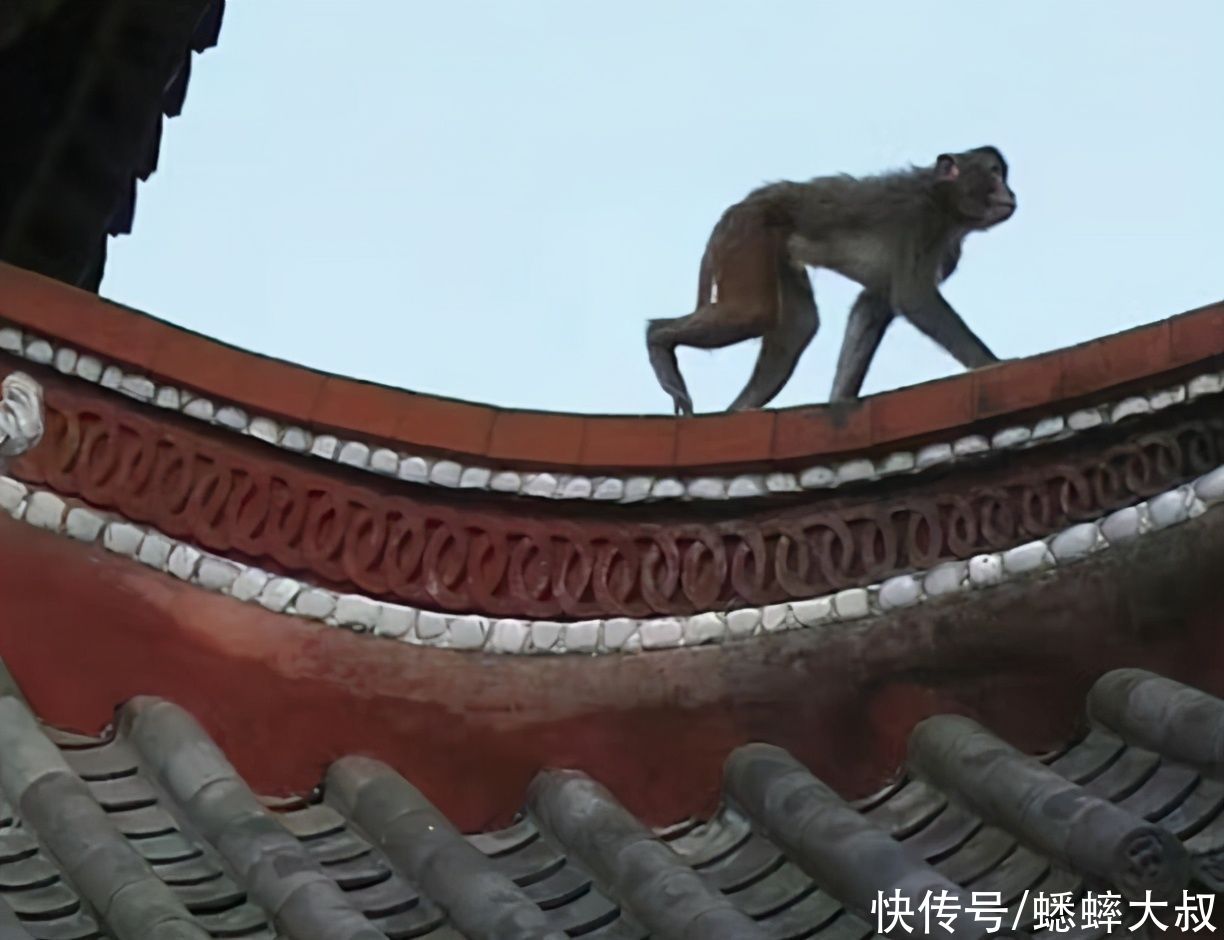 塔林|贵州礼佛第一站去哪？建议来让人心静的老禅院，禅门五宗之一