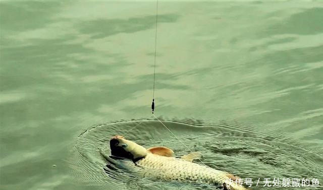 翻倍|夏季天热大鱼都躲在哪里找准几处鱼道野钓，渔获量翻倍！