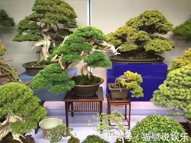 这9种花园,随便1个都美上天了,有一种这辈子就满足了!