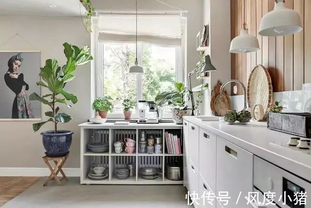 绿植|46平公寓,墙面挂衣架,步入式衣帽间,地台沙发,小户型大设计