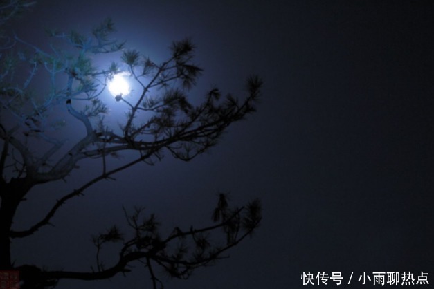 冬夜里最动人的一首思念家乡的诗,读来让漂泊的人感受颇深