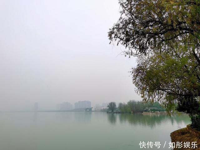 真正厉害的人,都深谙示弱之道,善于以柔克刚