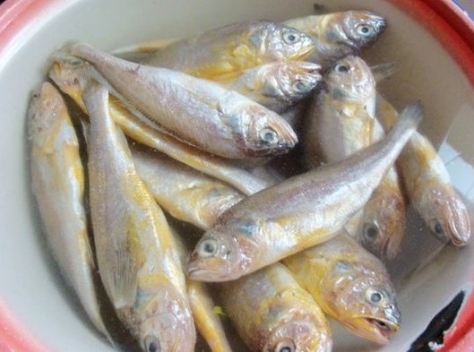 买鱼时，聪明人只认准这4种，如今无法人工养殖，都是野生鱼！