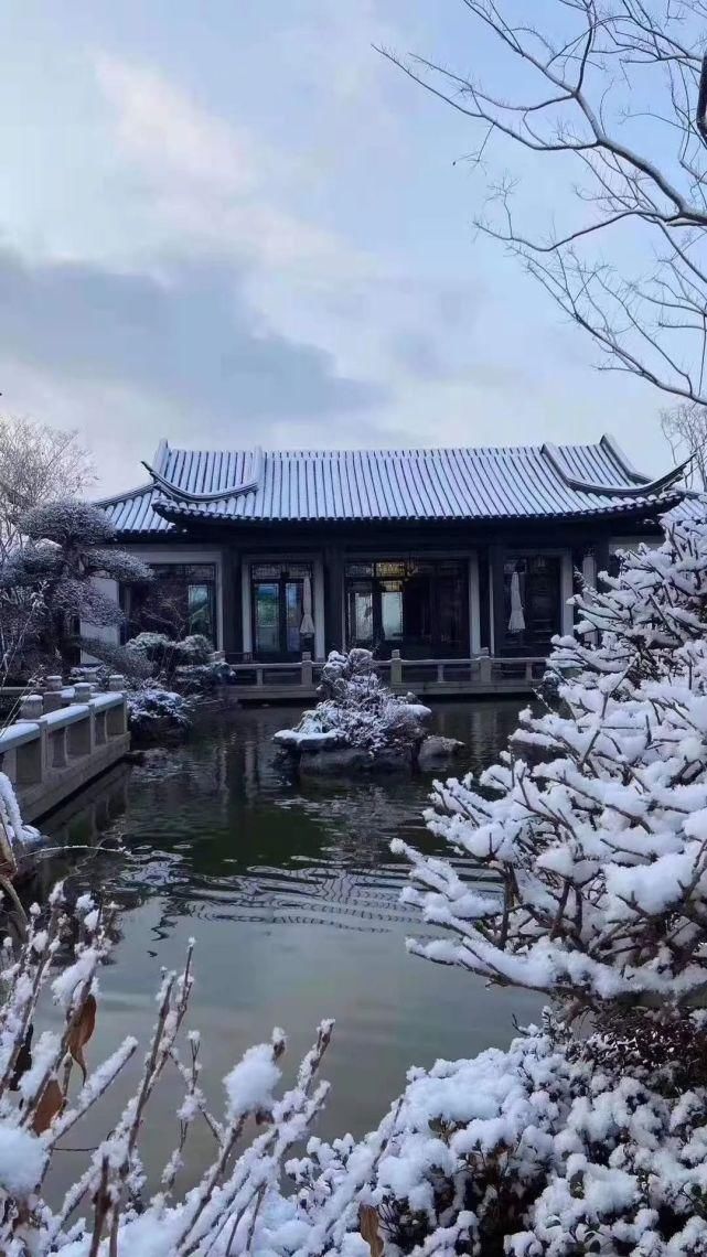 一场雪，美了齐鲁，醉了酒地！