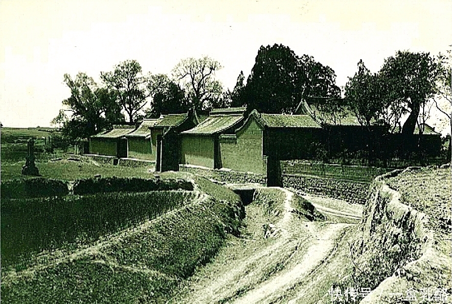 清代奇案:妻子貌美,吃鸡肉时假死,三个男人丧命,连成一桩奇案