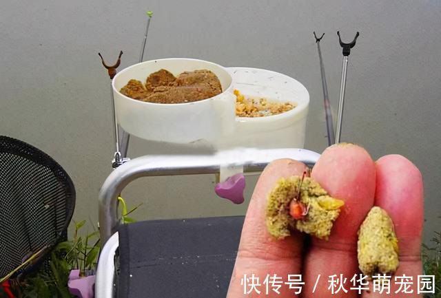 鲤鱼口滑不开口，试试这几招，只要有鲤鱼，不怕不开口