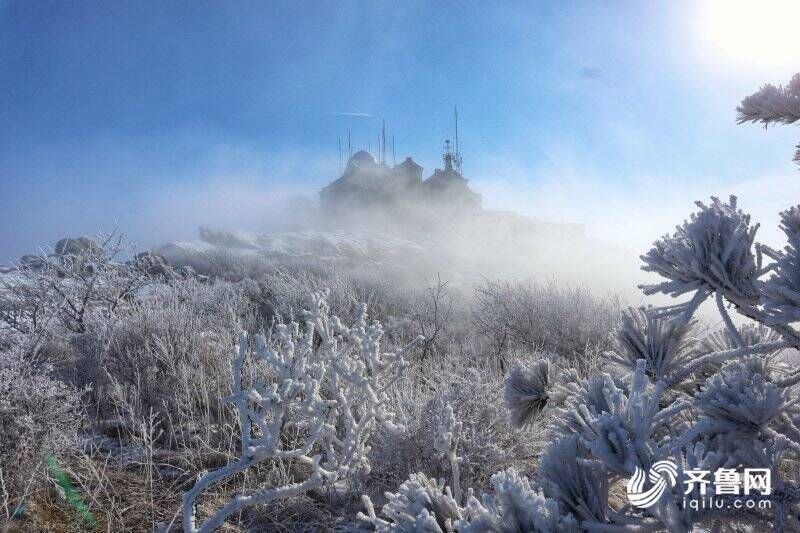 泰山之巅|雪霁初晴 泰山之巅云雾缭绕仙气十足