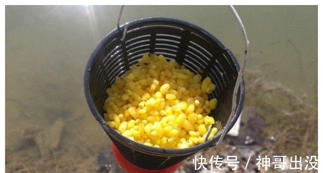 自己怎么泡酒米?别相信网上的秘方,满足这2点要求就够了