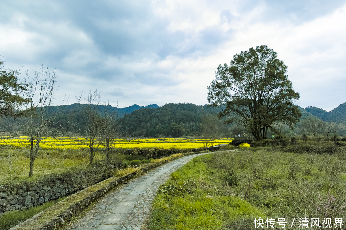 婺源赋春，游走在中国进士第一村，感受“进士之患”