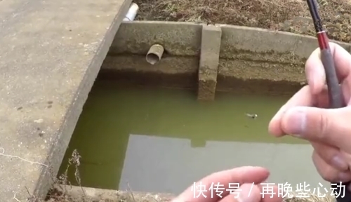 糖醋鲤鱼|这样的小水沟也能钓上三四斤的大鲤鱼,网友:鱼从哪里来的呢