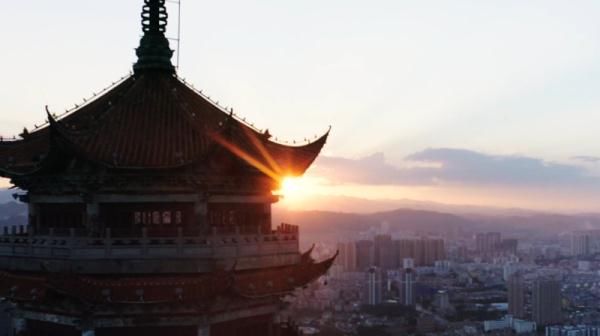 北回归线|文山三七宣传片——《时光里的三七》